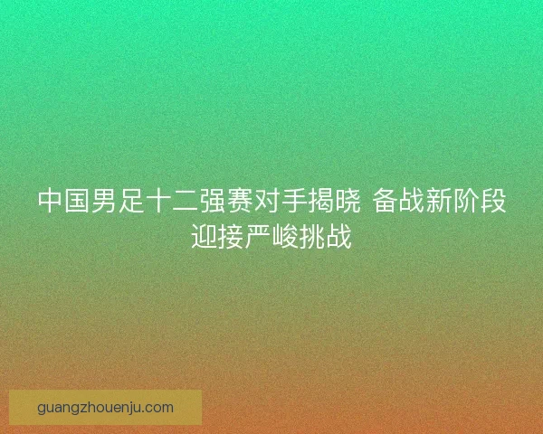 中国男足十二强赛对手揭晓 备战新阶段迎接严峻挑战