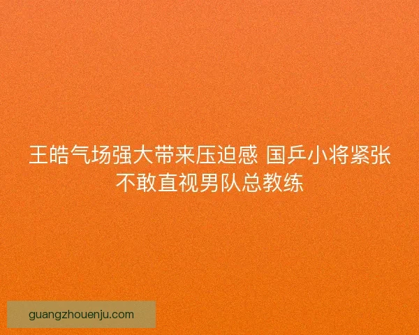 王皓气场强大带来压迫感 国乒小将紧张不敢直视男队总教练 王皓气场强大带来压迫感 国乒小将紧张不敢直视男队总教练